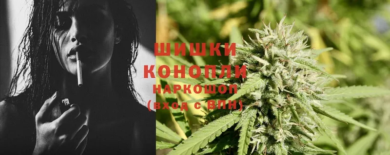 где найти наркотики  Апатиты  Конопля SATIVA & INDICA 